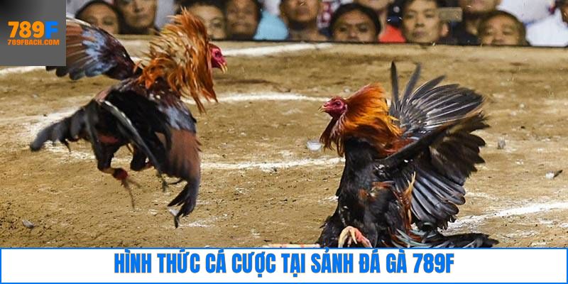 Tổng hợp các trò chơi đá gà hấp dẫn nhất tại 789F