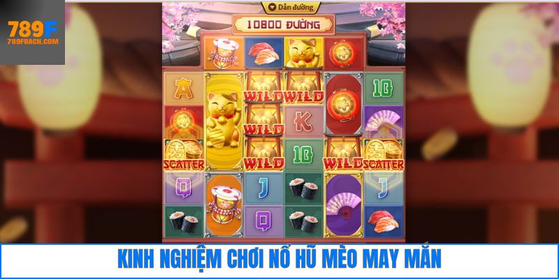 Kinh nghiệm khi tham gia nổ hũ mèo may mắn thắng lớn 789F