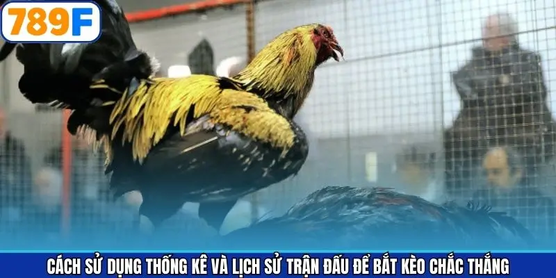 Bật mí cách tận dụng thống kê để bắt kèo