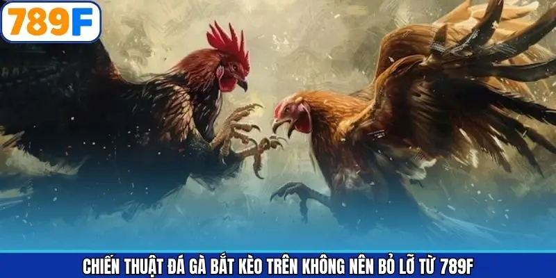 Chiến Thuật Đá Gà Bắt Kèo Trên Không Nên Bỏ Lỡ Từ 789F