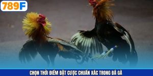 Chọn Thời Điểm Đặt Cược Chuẩn Xác Trong Đá Gà Từ 789F