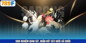 Kinh Nghiệm Quan Sát, Nhận Biết Sức Khỏe Gà Chiến Từ 789F