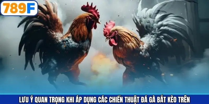 Lưu ý khi áp dụng các mẹo đá gà bắt kèo trên