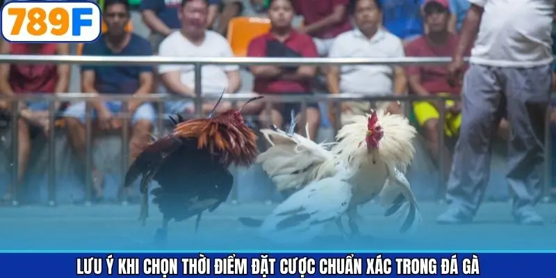 Lưu ý khi chọn thời điểm đặt cược chuẩn xác trong đá gà