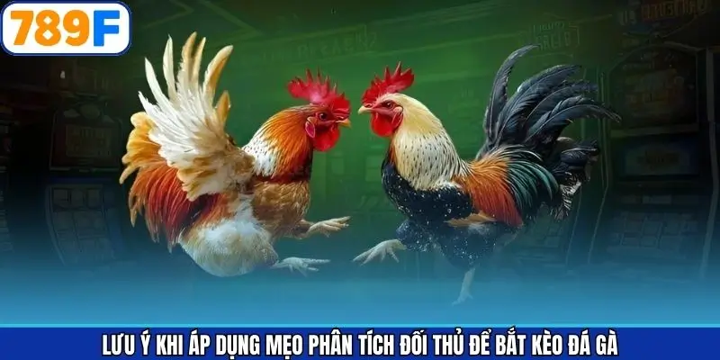Lưu ý khi phân tích đối thủ để bắt kèo đá gà toàn thắng