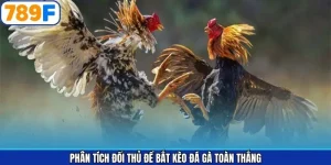 Mẹo Phân Tích Đối Thủ Để Bắt Kèo Đá Gà Toàn Thắng Từ 789F