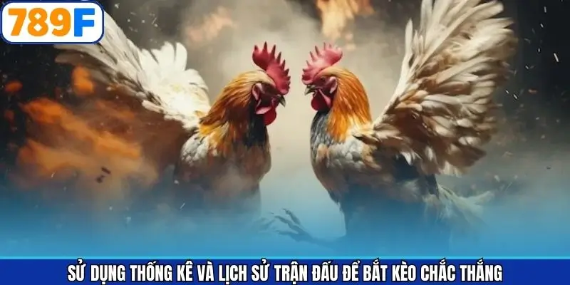 Sử dụng thống kê là chiến thuật đá gà bắt kèo trên