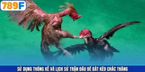 Sử dụng thống kê và lịch sử trận đấu để bắt kèo chắc thắng