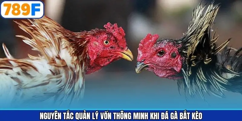 Quy tắc vàng thành viên cần nắm bắt trên 789F