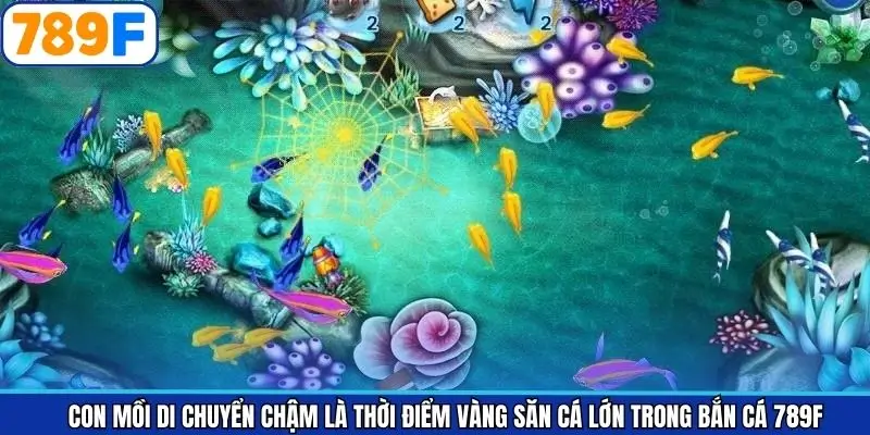Con mồi di chuyển chậm là khung giờ vàng khi săn ngư