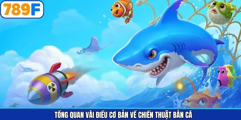 Đôi chút thông tin liên quan đến các các chiến thuật săn cá