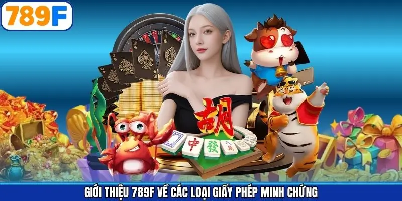 Giới thiệu 789F về các loại giấy phép minh chứng