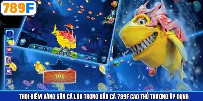 Sai lầm khi chọn khung giờ vàng săn cá lớn trong bắn cá 789F